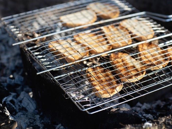 Voor bij de barbecue