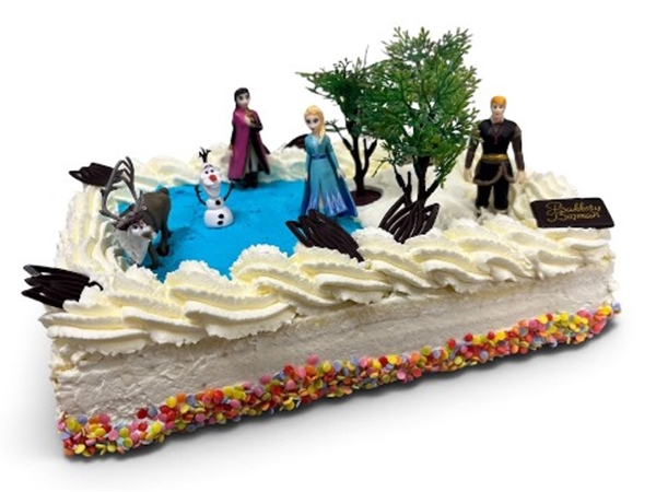 Disney Frozen 15-20 personen